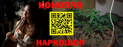 прущие грибы Тара