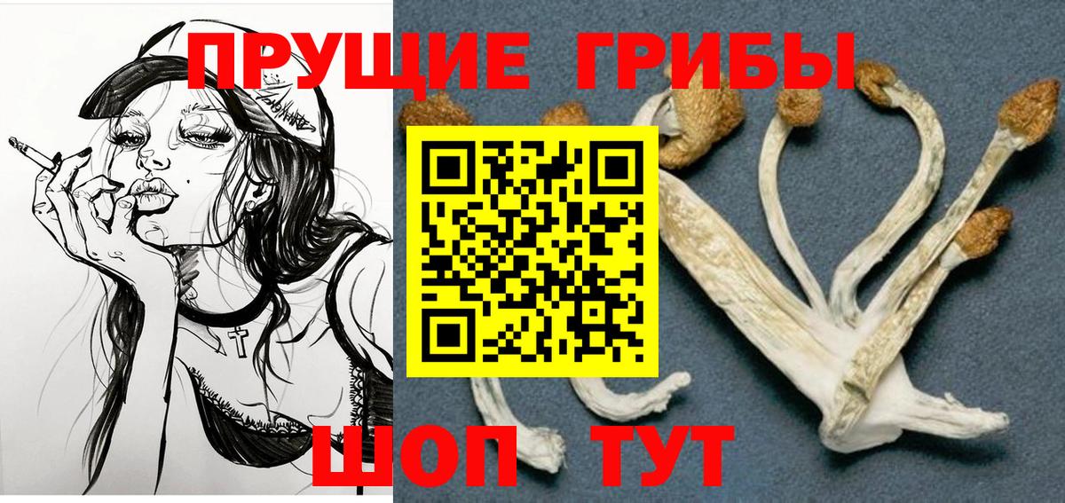 Муром  Галлюциногенные грибы Psilocybe  Вход с VPN 
